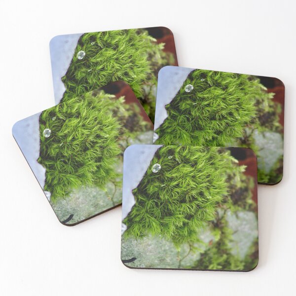 Item preview, Moss emerging from the snow designed and sold by MaggieRan26.