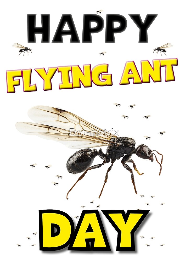 "HAPPY FLYING ANT DAY" by Dotmatrix Redbubble
