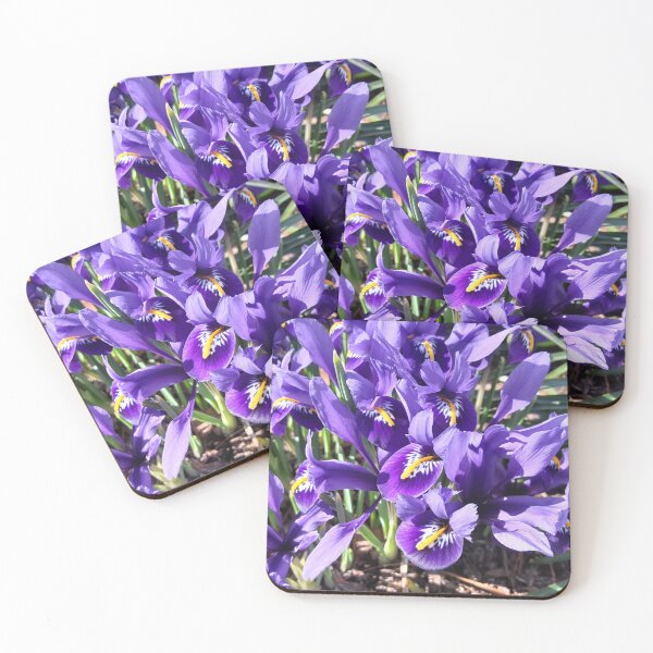 Item preview, Japanese Iris designed and sold by VelvetLunaMoth.