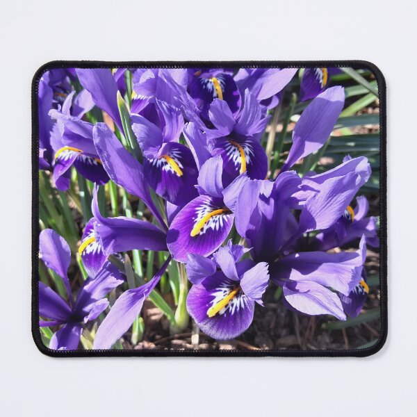 Item preview, Japanese Iris designed and sold by VelvetLunaMoth.