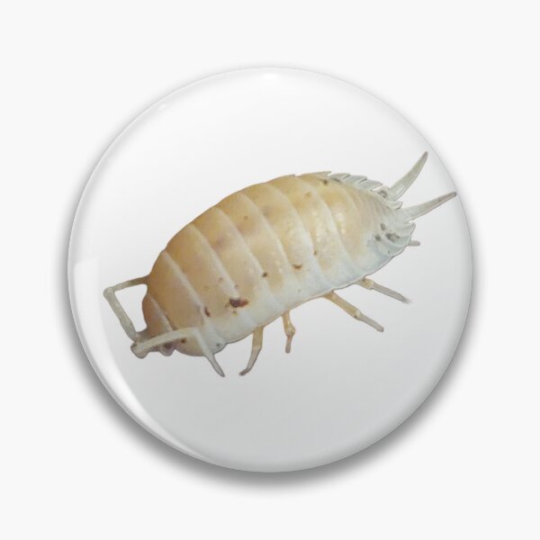 Item preview, Porcellio Laevis Morph "White" designed and sold by edgethesketch.