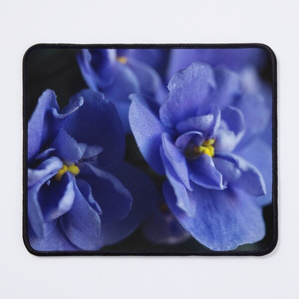 Item preview, Enchanting African Violet designed and sold by Betsy Phillips.