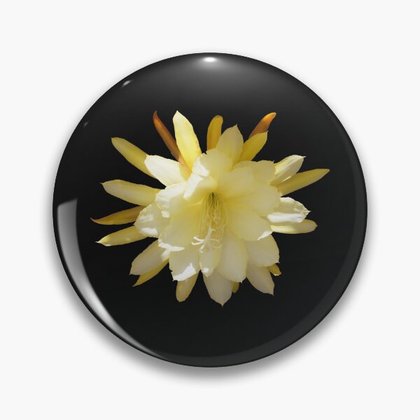Item preview, Golden Cactus Blossom at Magpie Springs by Avril Thomas designed and sold by MagpieSprings.