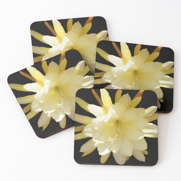 Item preview, Golden Cactus Blossom at Magpie Springs by Avril Thomas designed and sold by MagpieSprings.