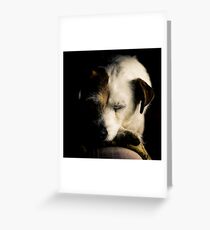After a Hard Day Greeting Card