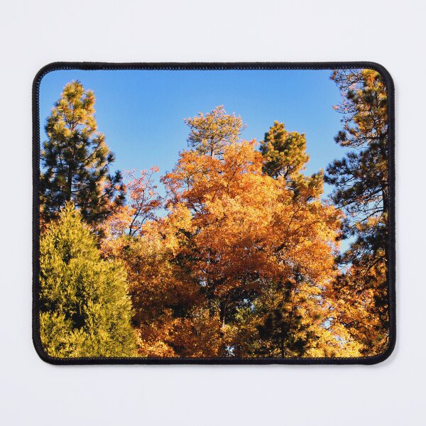Item preview, Idyllwild - Pine Cove designed and sold by supernova23.