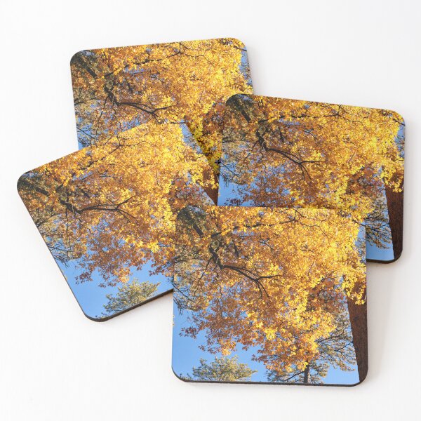 Item preview, Idyllwild - Pine Cove designed and sold by supernova23.