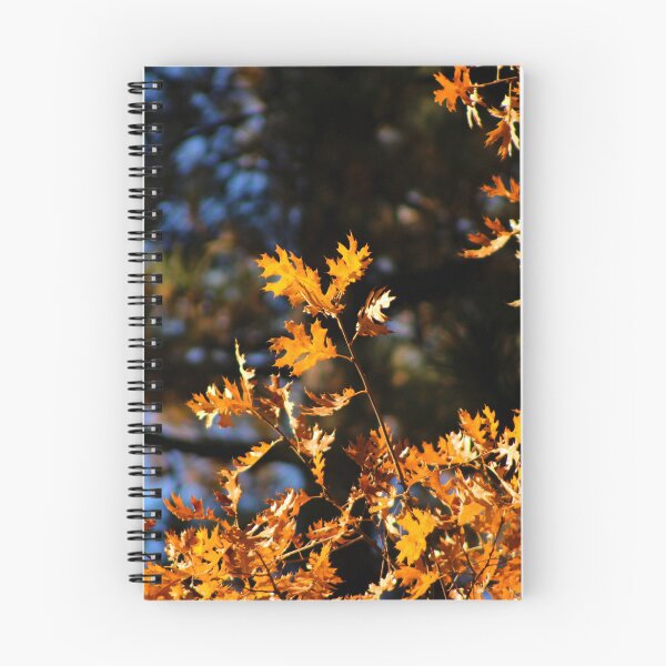 Item preview, Idyllwild - Pine Cove designed and sold by supernova23.