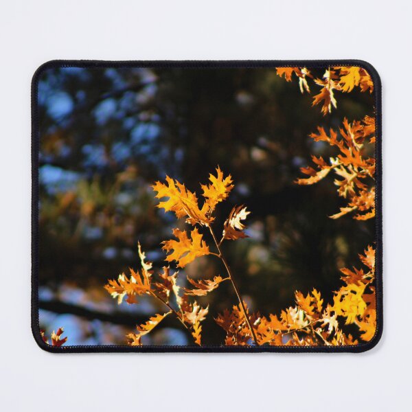 Item preview, Idyllwild - Pine Cove designed and sold by supernova23.