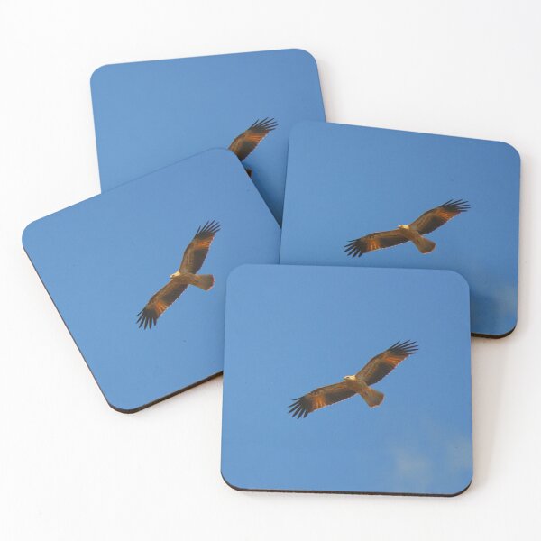 Item preview, Whistling Kite in flight designed and sold by BirdsAlive.