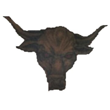 the rock brahma bull wallpaper