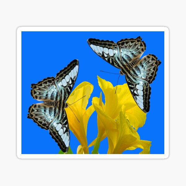 Item preview, Malaysian blue clipper butterflies Latin name parthenos sylvia violacea on Canna King Midas lilies designed and sold by Peter Etchells.