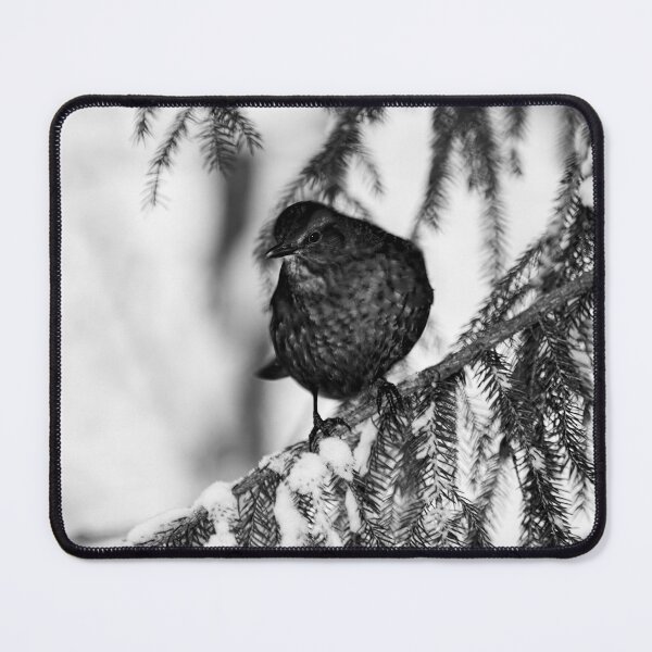 Item preview, Who is there. Eurasian blackbird bw designed and sold by Jouko Lehto Photography.