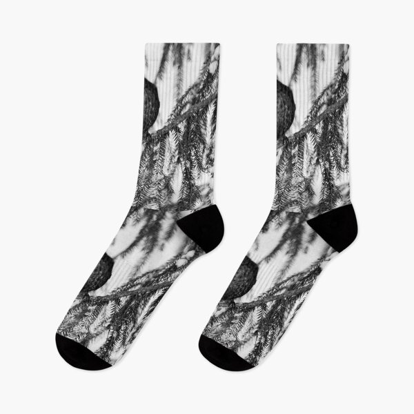 Item preview, Who is there. Eurasian blackbird bw designed and sold by Jouko Lehto Photography.