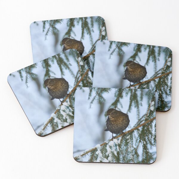Item preview, Who is there. Eurasian blackbird designed and sold by Jouko Lehto Photography.