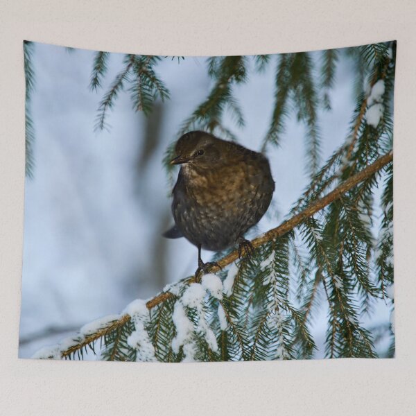 Item preview, Who is there. Eurasian blackbird designed and sold by Jouko Lehto Photography.