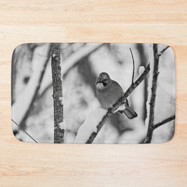 Item preview, Winter jay. Eurasian jay bw designed and sold by Jouko Lehto Photography.