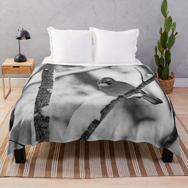 Item preview, Winter jay. Eurasian jay bw designed and sold by Jouko Lehto Photography.