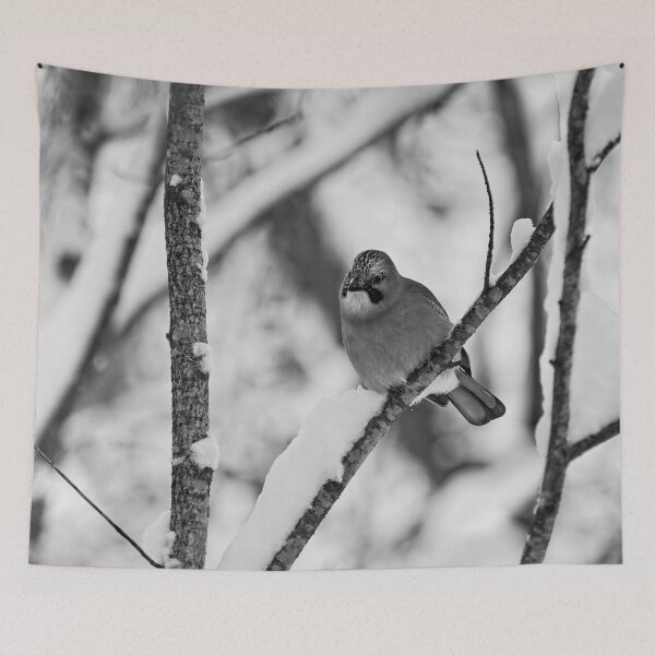 Item preview, Winter jay. Eurasian jay bw designed and sold by Jouko Lehto Photography.