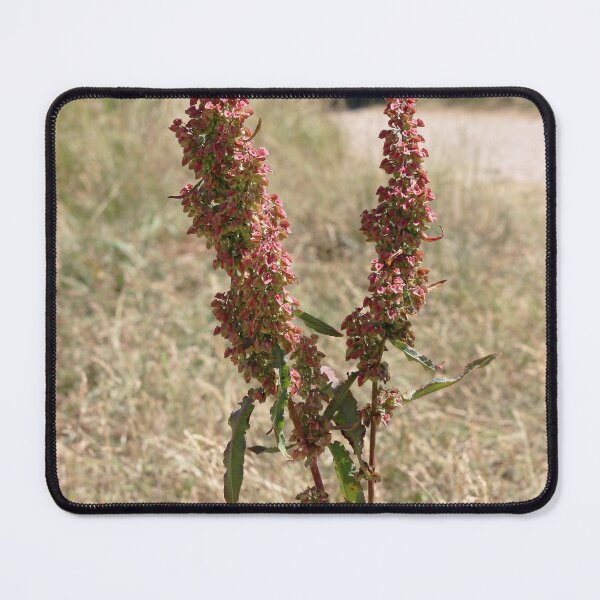 Item preview, red sorrel designed and sold by pinkal.