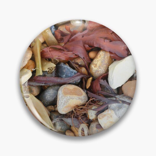 Item preview, Catshark eggcases and seaweed designed and sold by pinkal.