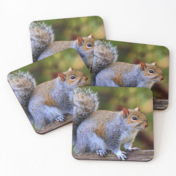 Item preview, Squirrel  designed and sold by Parks and X.
