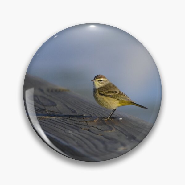 Item preview, Orlando Wetlands Park Palm Warbler designed and sold by MercerImages.