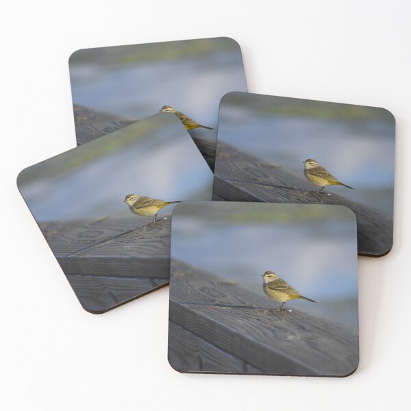 Item preview, Orlando Wetlands Park Palm Warbler designed and sold by MercerImages.