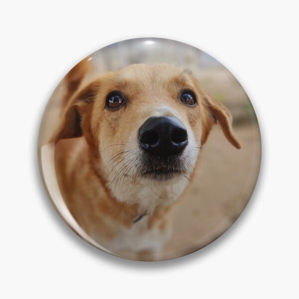 Item preview, Cute Dog Mollie designed and sold by mikaws.