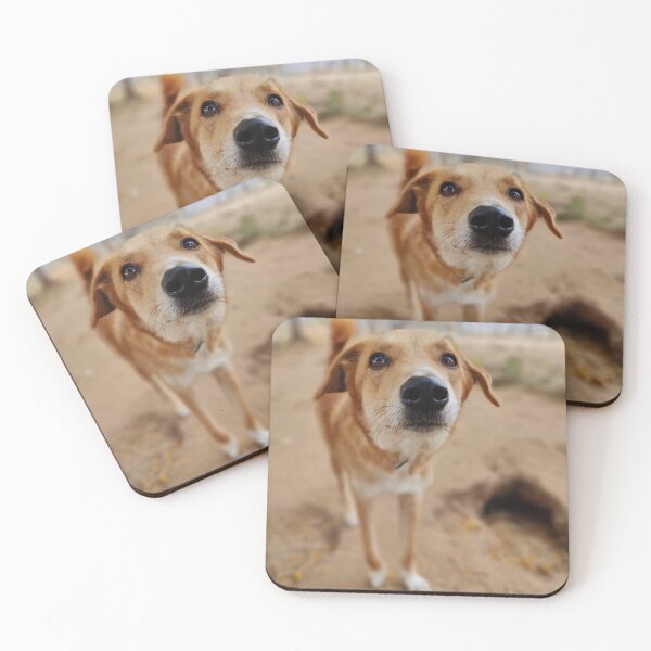 Item preview, Cute Dog Mollie designed and sold by mikaws.