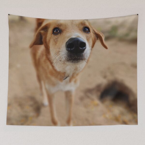 Item preview, Cute Dog Mollie designed and sold by mikaws.
