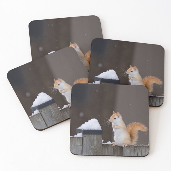 Item preview, White Squirrel in Winter Snow designed and sold by James Cumming.