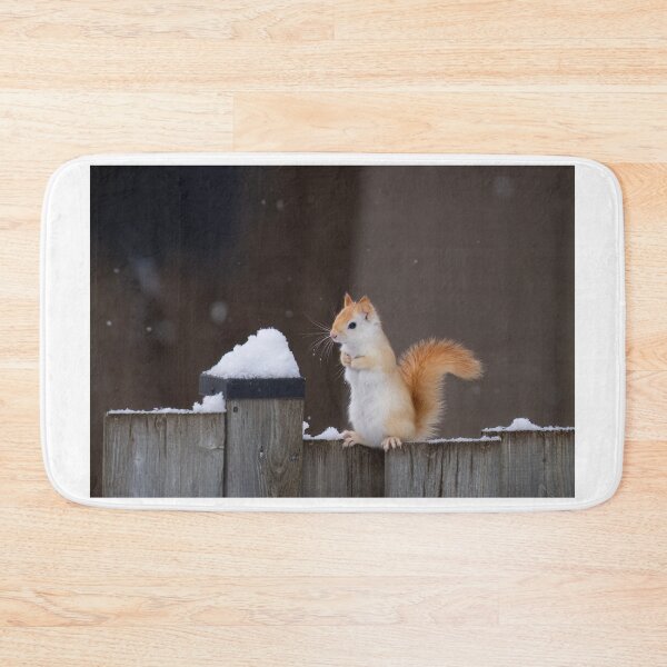 Item preview, White Squirrel in Winter Snow designed and sold by James Cumming.
