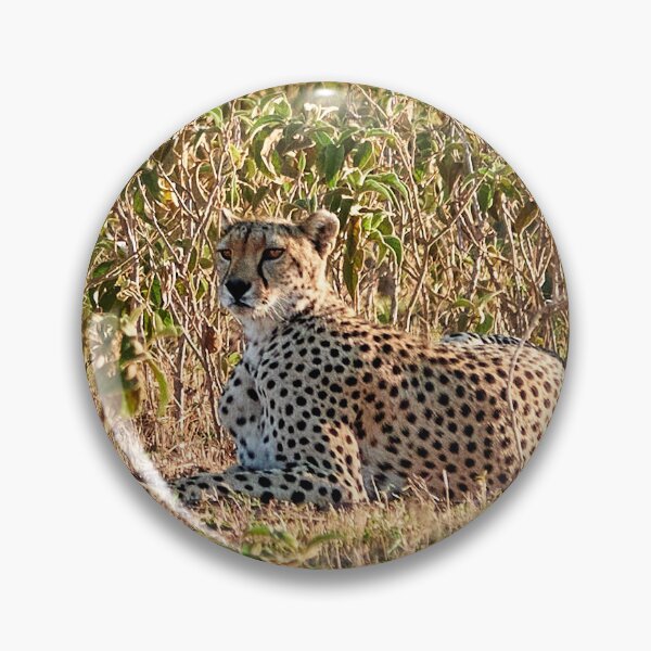 Item preview, Happy Cheetah designed and sold by Eidetic Photos.
