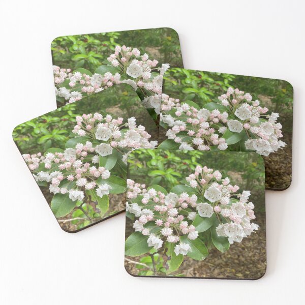 Item preview, Mountain Laurel Blossoms designed and sold by PaperHedgehog.