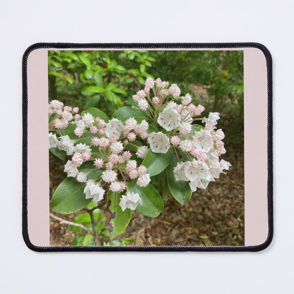 Item preview, Mountain Laurel Blossoms designed and sold by PaperHedgehog.