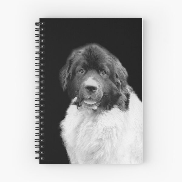 Item preview, A dog designed and sold by JUHARYY 1971.