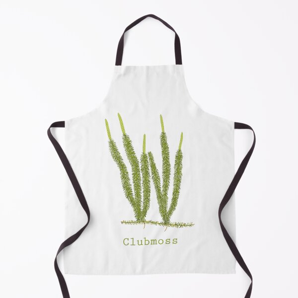 Item preview, Hand drawn vector illustration of clubmoss plant or Lycopodium clavatum designed and sold by Familyshmot.