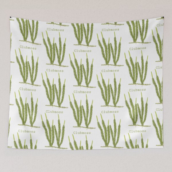 Item preview,  Hand drawn vector illustration of clubmoss plant or Lycopodium clavatum designed and sold by Familyshmot.