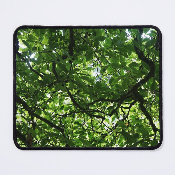 Item preview, light through trees designed and sold by El-images1.