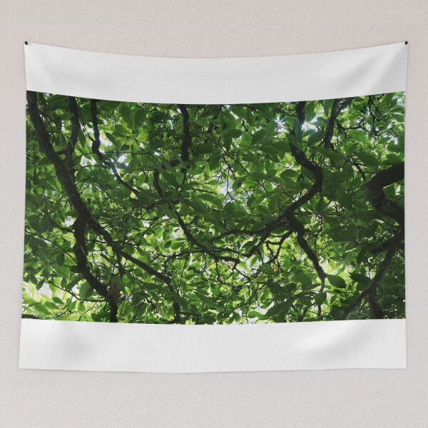 Item preview, light through trees  designed and sold by El-images1.