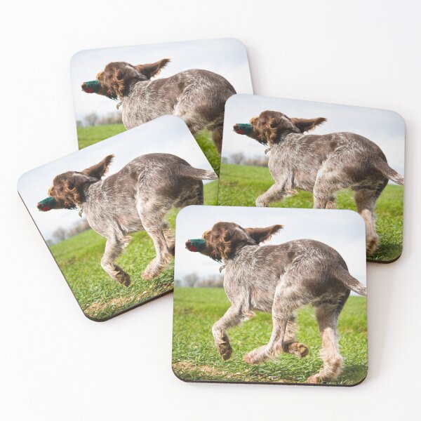 Item preview, Running with a dummy Spinone by heidiannemorris designed and sold by FOLK ART FUSION by heidiannemorris.