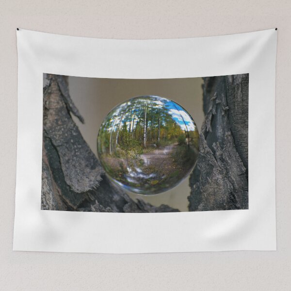 Item preview, Forest Through a Crystal Ball designed and sold by Photos By Michel.