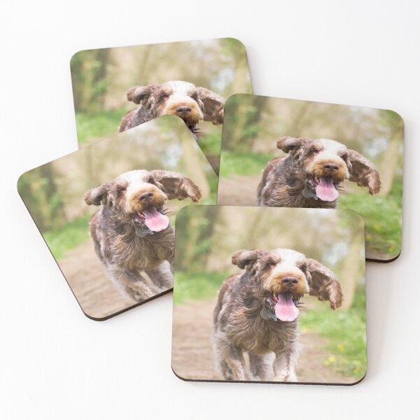 Item preview, Happy to be on a walk Spinone designed and sold by FOLK ART FUSION.