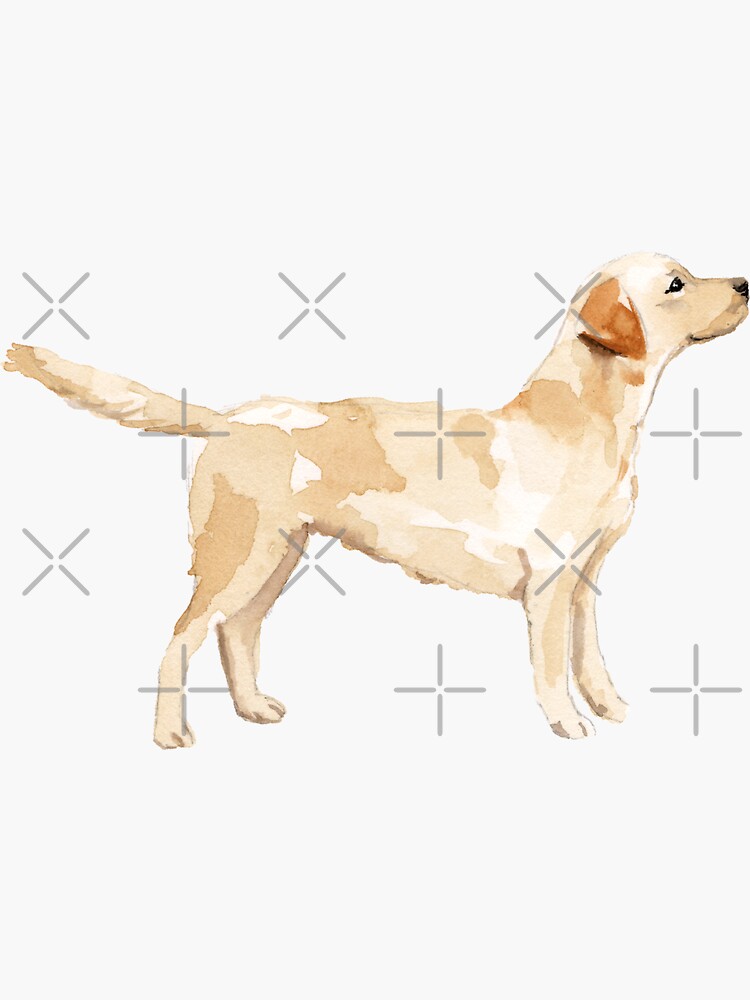 "Yellow Lab Silhouette Watercolor" Sticker for Sale by emrdesigns