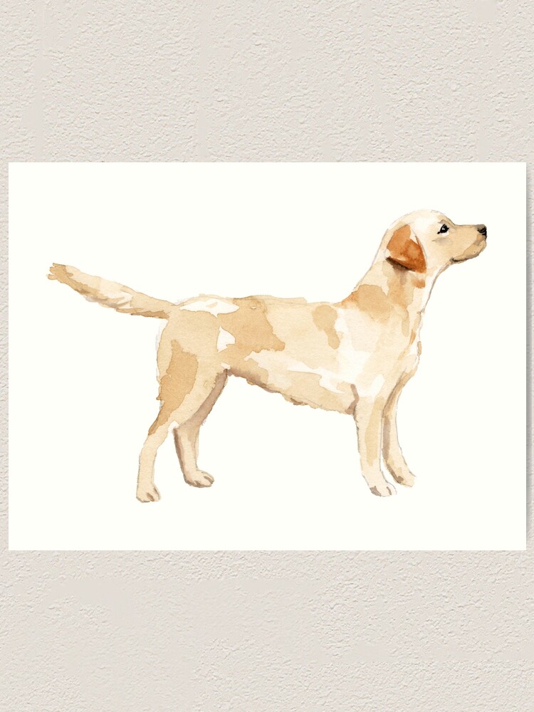 "Yellow Lab Silhouette Watercolor" Art Print by emrdesigns Redbubble
