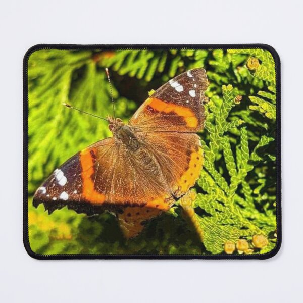 Item preview, Red admiral butterfly designed and sold by aebenge.