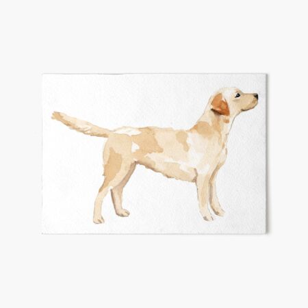 Aperçu de l'œuvre Aquarelle de silhouette de laboratoire jaune créée et vendue par emrdesigns.