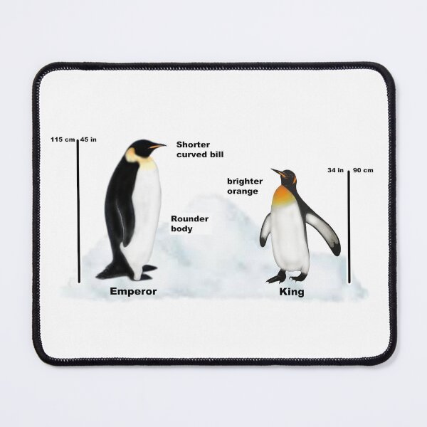 Item preview, King Vs Emperor Penguin designed and sold by ArtAndBliss.