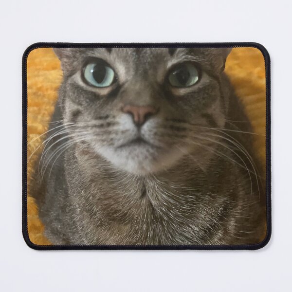 Item preview, Cats designed and sold by M-ArtStudio.